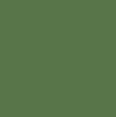 Verde Seco